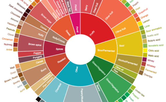 Roda de sabores e aroma do café